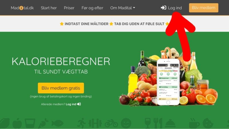 Skærmbillede: Sådan logger du ind på Madital - Trin 1