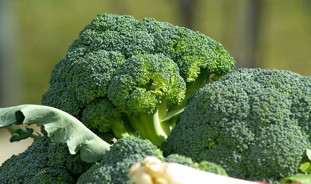 Billede af Broccoli. Se antal kalorier i kalorietabellen herunder.