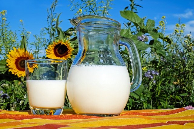 implicitte Virkelig Et centralt værktøj, der spiller en vigtig rolle 🥛 Kalorier i letmælk - Sammenlign 7 typer letmælk