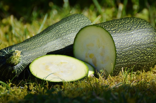 Billede af Squash. Se antal kalorier i kalorietabellen herunder.