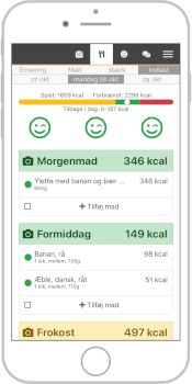 Eksempel på de 3 smil på din indtastningside.