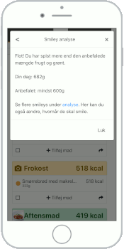Eksempel på ekstra info, når du klikker på et smil på indtastningssiden.